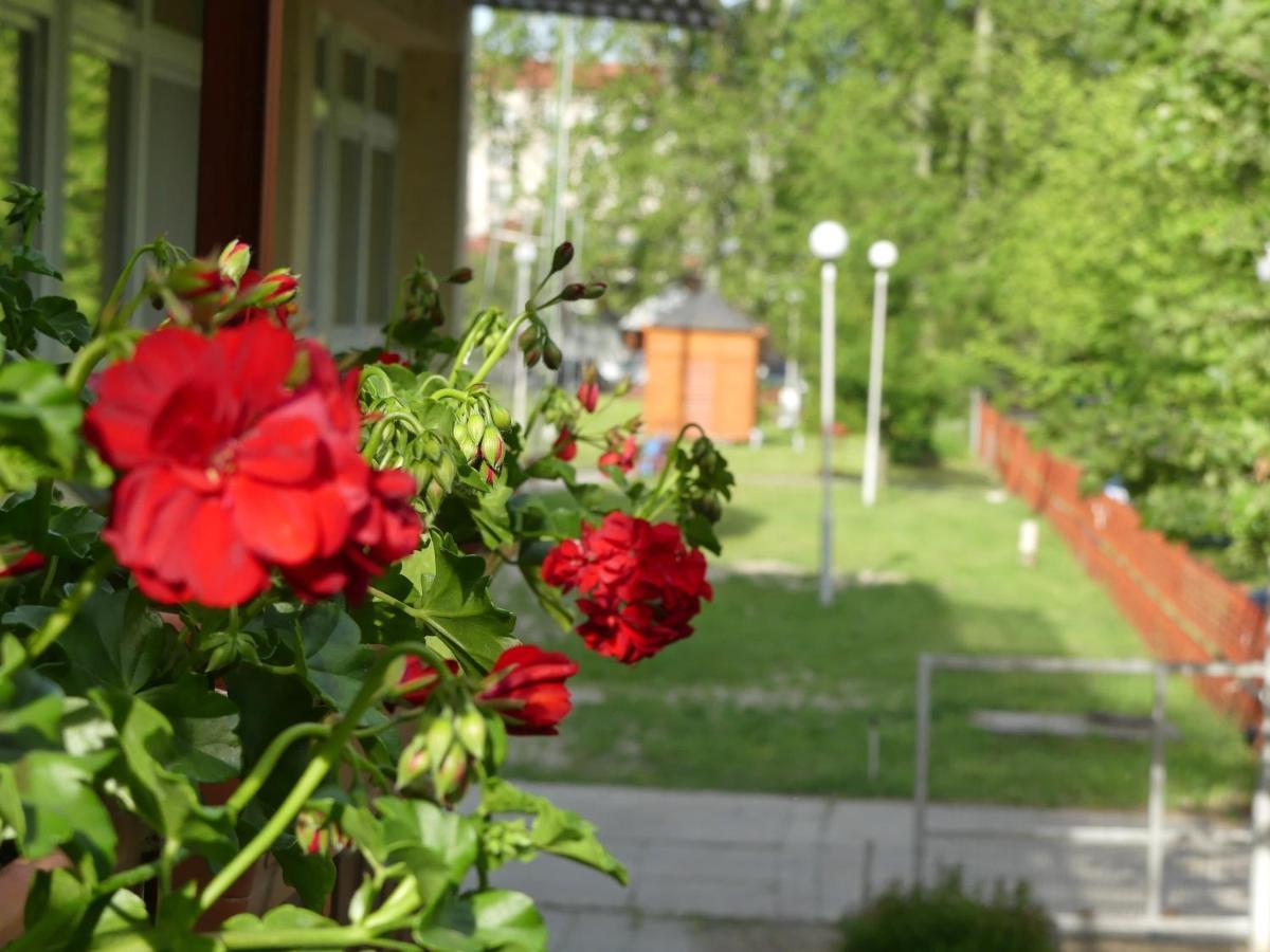 Napsugár Szálló Baja Exterior foto